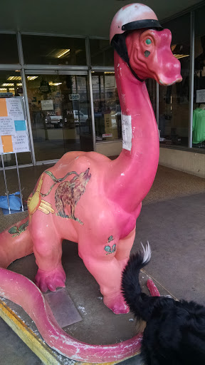 ALBQ Pink Howling Dino
