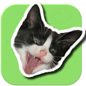 Jaga mus logo