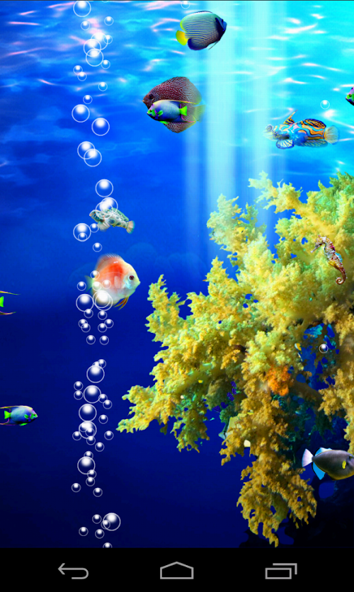 Android application Coral Fish screenshort