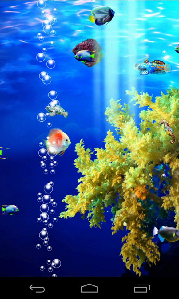 Coral Fish Screen 1