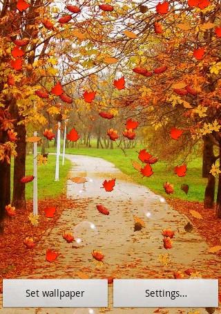 Download 55+ Background Keren Musim Gugur Paling Keren