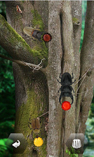 世界の昆虫採集ライト版