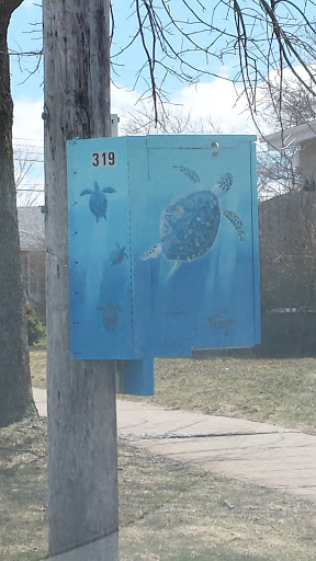 Sea Turtle Power Box Number 319