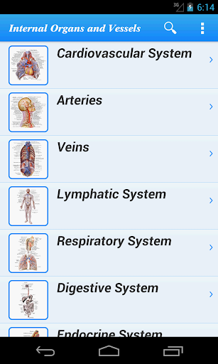 Human Anatomy II Lite