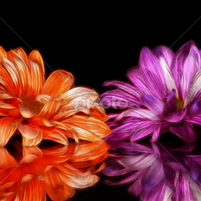 by Dipali S - Digital Art Things