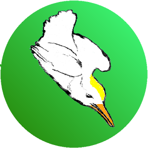 Spring Bird - dive for fish 1.09