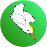 Spring Bird - dive for fish Game icon