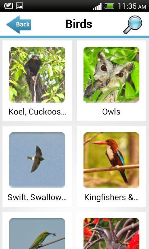 Android application Indian Birds screenshort