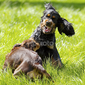 by James Blyth Currie - Uncategorized All Uncategorized