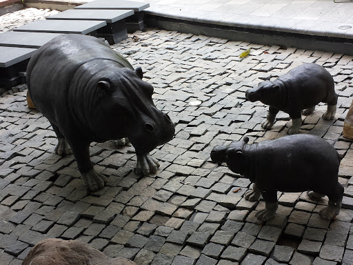 Hippo Sculptures 