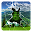 Cracked Screen Live Wallpaper Download on Windows