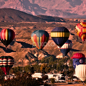 Balloons Over Havasu by Becky McGuire - News & Events Entertainment