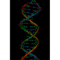 More Science From an Easy Cha logo