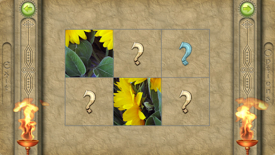 How to mod FlipPix Jigsaw - Posies 1.7.6 apk for bluestacks