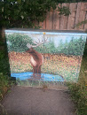 Deer Pond Electrical Box