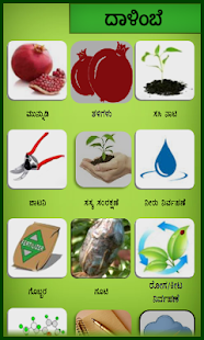 Lastest Pomegranate Kannada APK for Android