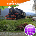Ibague Street Map logo