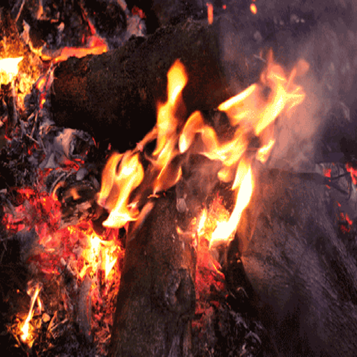 Camp Fire HD Live Wallpaper