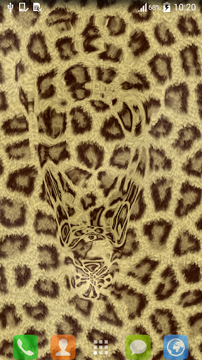 Cheetah Wallpapers for Free