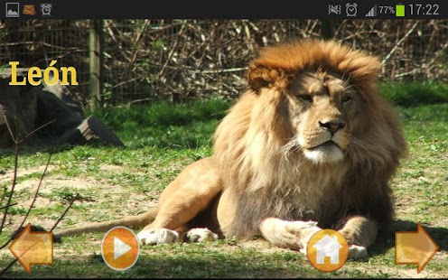 Lastest Animals Pictures (in Spanish) APK for PC
