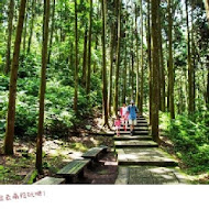 忘憂森林