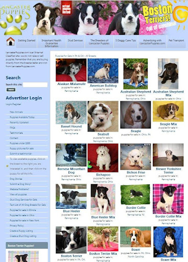 LancasterPuppies.com Puppy app