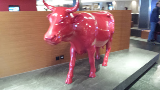 Holy Red Cow
