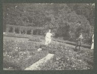 In de rozentuin van landgoed Pauw