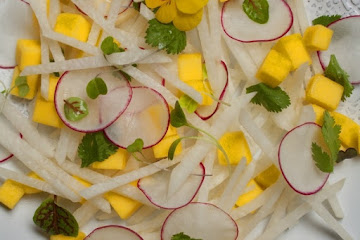 Jicama Radish Mango Salad