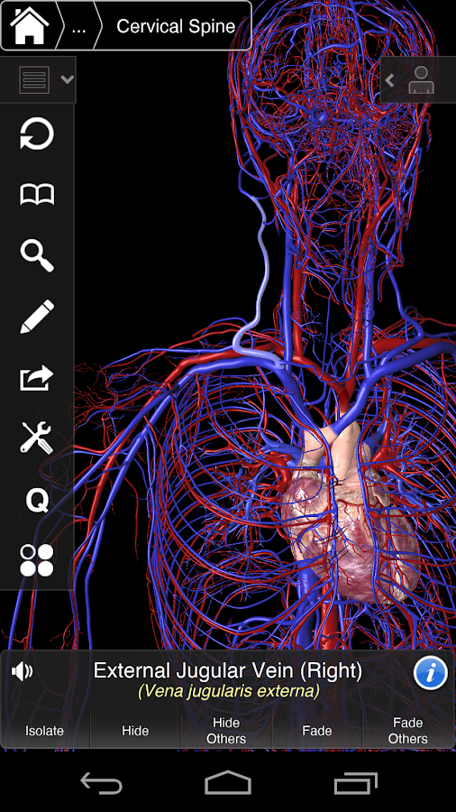 Essential Anatomy 3 - screenshot