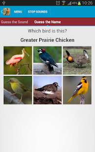 North American Birds Sounds Screenshots 21