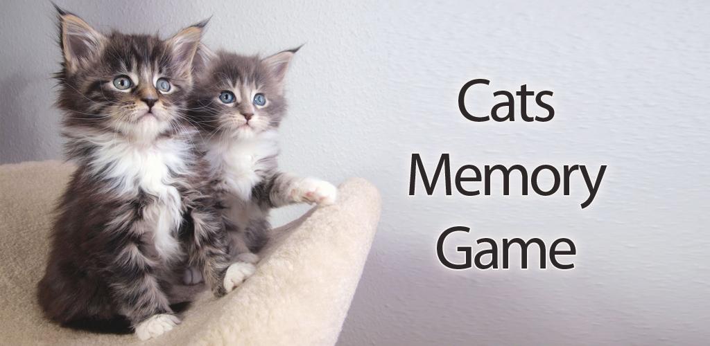 Memo Cat. Memory Cats. Game Cat mem. Cat Flashback.