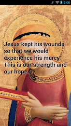 Pope Francis Quotes by TapCoder poster 2