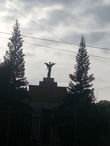 Angel Liceo Guatemala