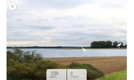 Birdinggame poster 3