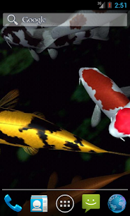 Magic touch: Koi Fish