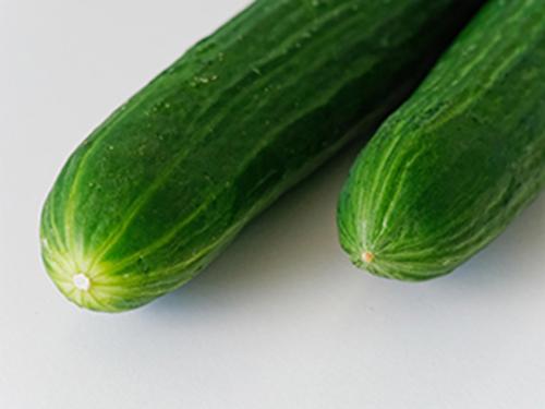 Cucumber Uses