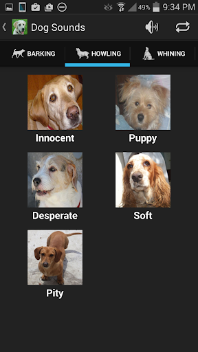 【免費娛樂App】狗的聲音-APP點子