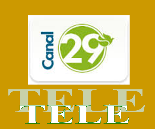 TV CANAL 29