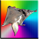 Fractal Imaging icon
