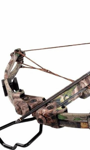 Wallpapers Crossbow Shooting