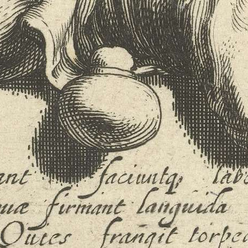 Collected works of Jacob Dissius All Rijksstudio's Rijksstudio