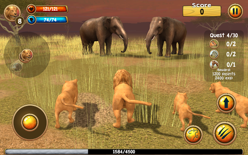 【免費模擬App】Wild Lion Simulator 3D-APP點子