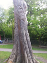 Highgate Woods Carved Tree