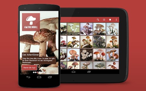 Pilze sammeln & bestimmen PRO Screenshots 8