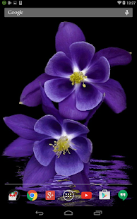 How to mod Violet Animated Live Wallpaper 1.1.1 apk for android