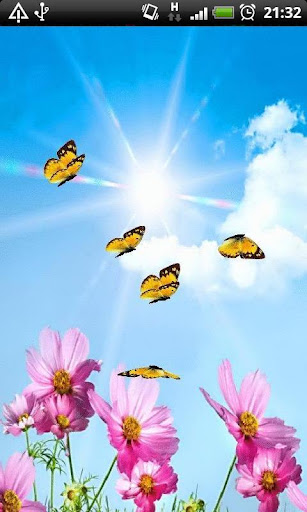 Summer Butterflies LWP