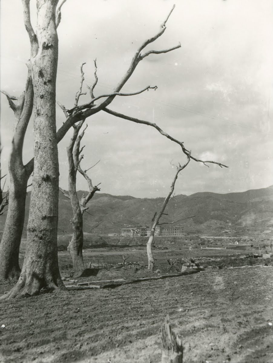 相川邸の立木 Hisashi Ishida Google Arts Culture