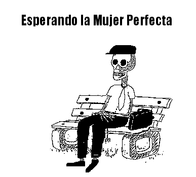 [mujer perfecta[4].gif]