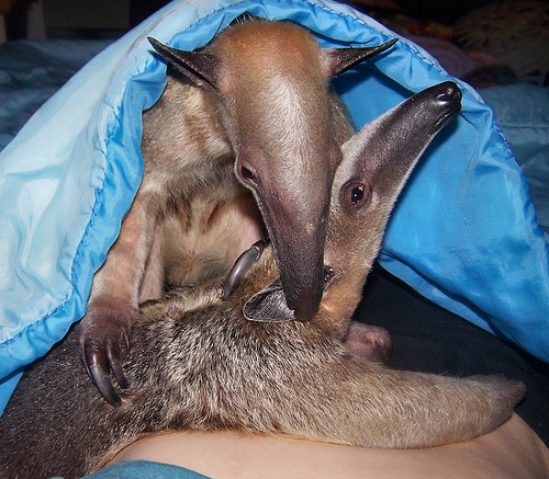 [501164689_f8cc7825e0.jpg]